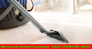 Steam Carpet Cleaning Waxhaw NC